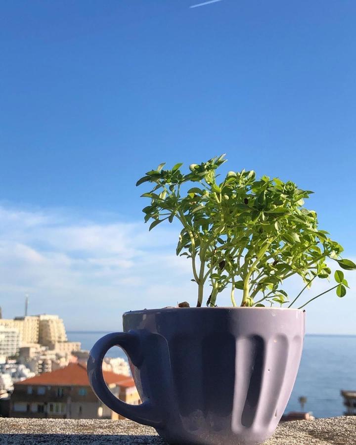 Studio Apartments Kul Μπούντβα Εξωτερικό φωτογραφία